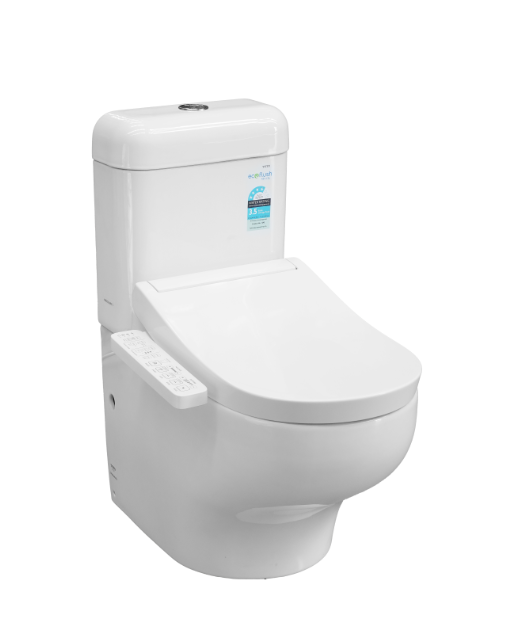 Toto Hayon Back to Wall TOILET with S2 washlet